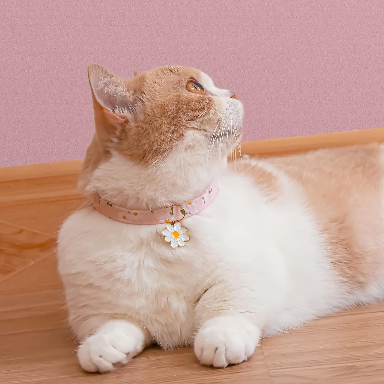 2 Pack Cotton Cat Collar with Yellow Pendant and Kitten Collar with Bell (2 Pink Flowers), 17.8-29.2 Centimètres - Image 4