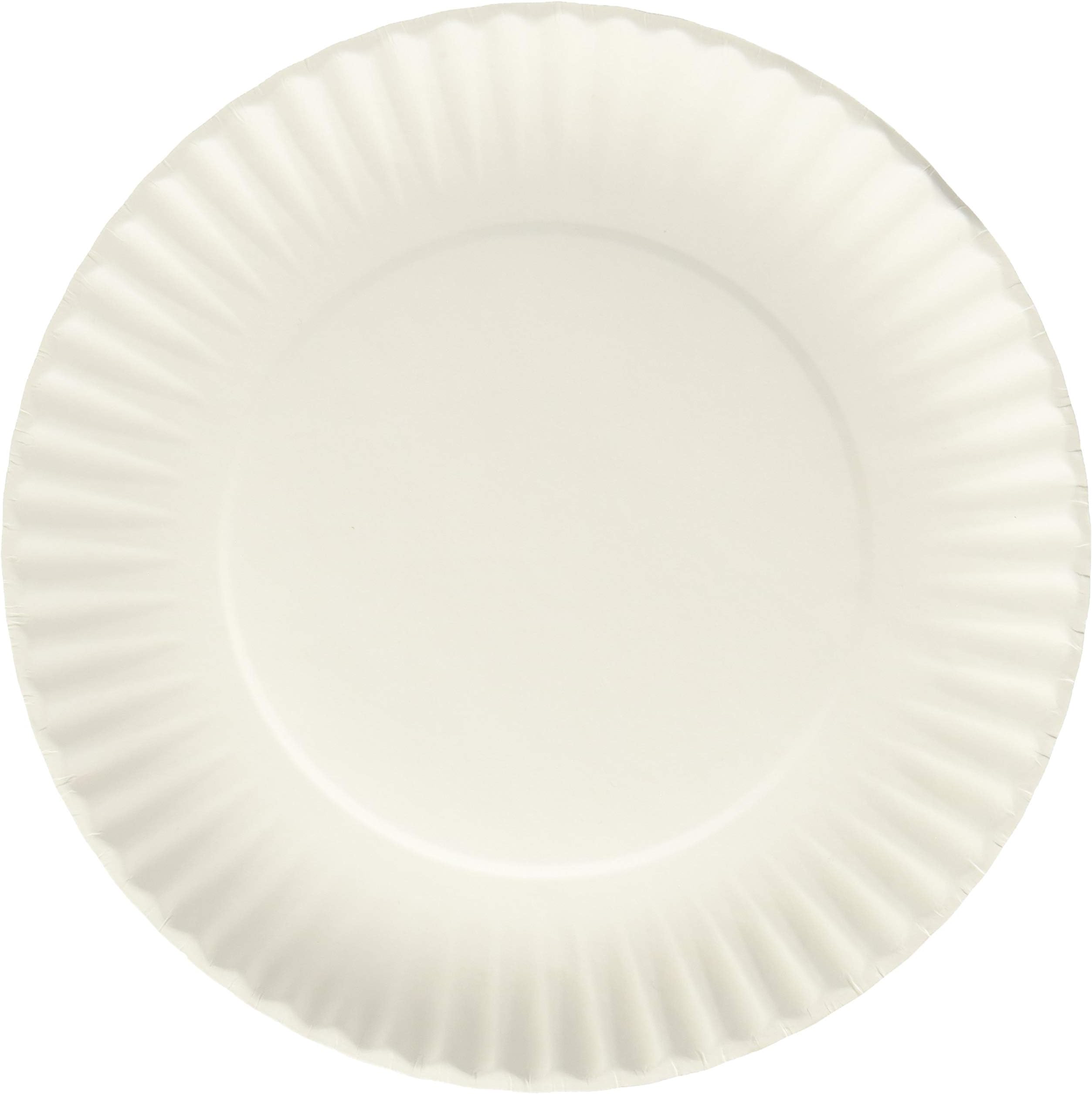 Nicole Home Collection 200 Count Everyday Dinnerware Paper Plate, 9-Inch, White