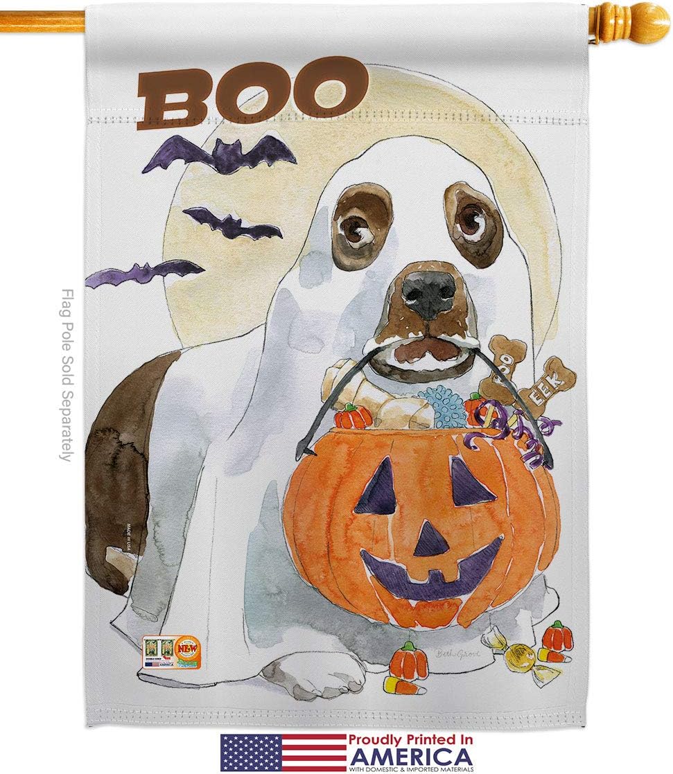 Halloween Boo Doggie House Flag Falltime Witch Trick or Treat Spooky Night Black Cat Season Autumntime Pumpkin Small Decorative Gift Yard Banner Made In USA 28 X 40