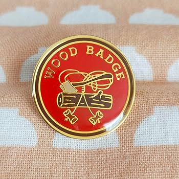 60s アメリカボーイスカウト ピンバッジ 15個セット 60s アメリカボーイスカウト ピンバッジ 15個セット Vintage Boy