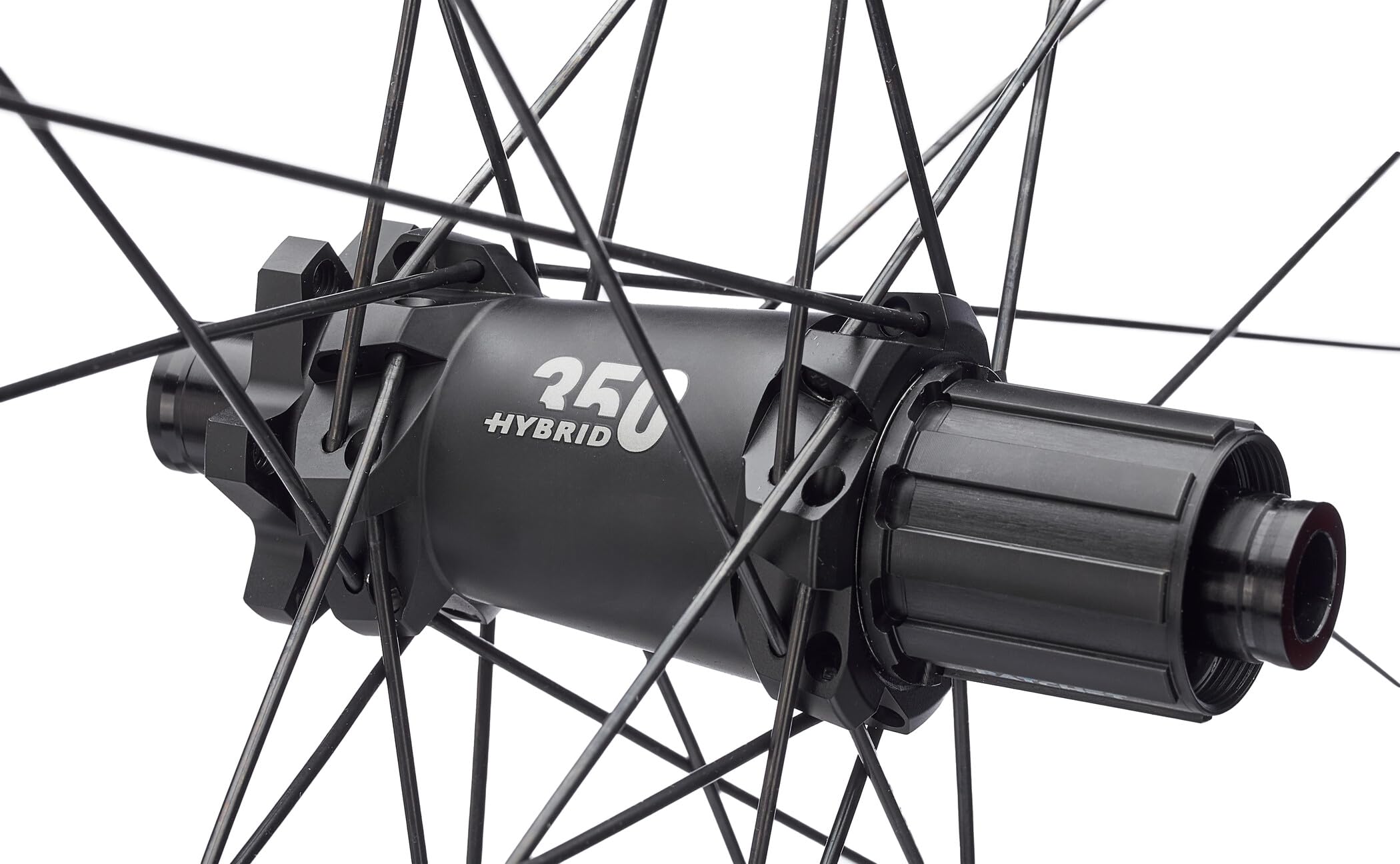 Amazon.com : DT Swiss HX 1700 Spline LS Rear Wheel - 29