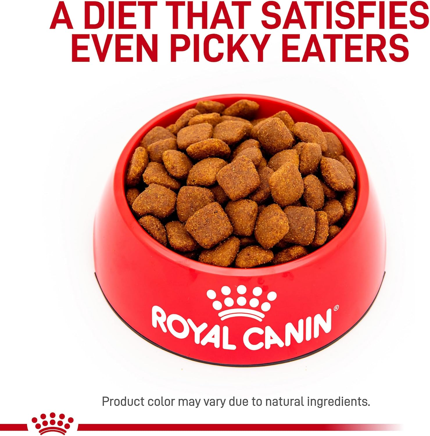 Royal Canin Veterinary Diet Canine Medium and Large Dental Adult Dry Dog Food, 7.7 lb Bag