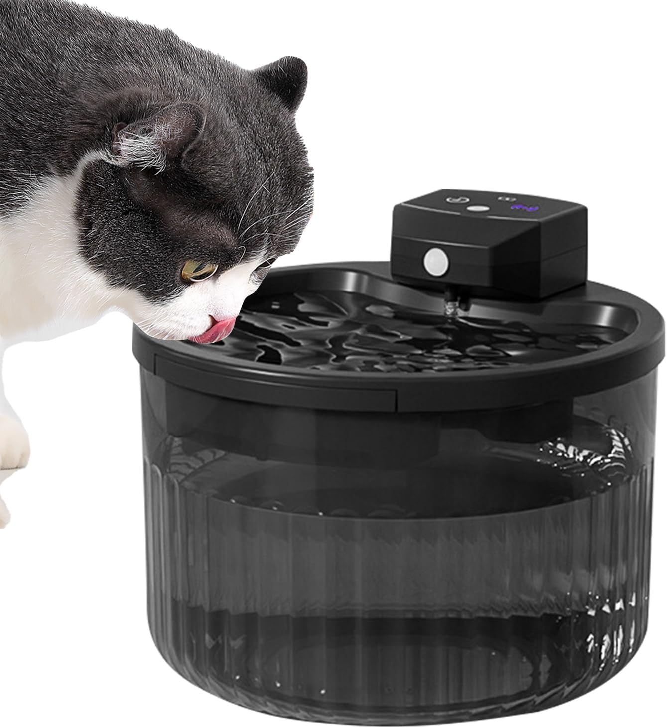 Water Fountains for Cats Indoor - 2L Kitten Drinker | Automatic Pet Water Dispenser - for Pet Parents Veterinarians Animal Shelters Farm Owners Garage Barn Patio Cattery Living Room