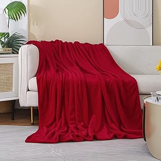 12 Red Bedroom Ideas for Bold Warm Cozy Character 101 JIAHANNHA Red Throw Blanket Fleece Blanket 60