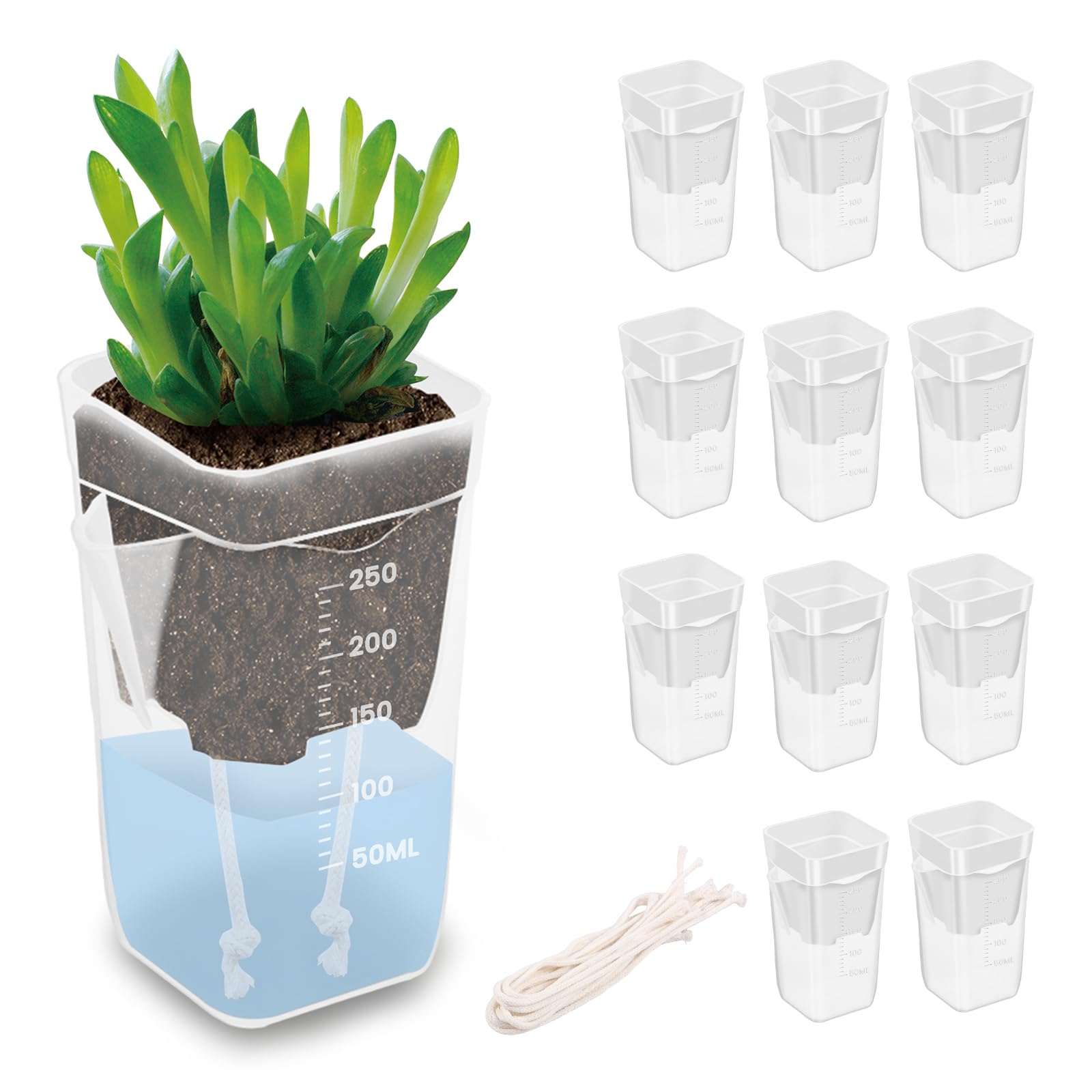 Rhaiqbvc 2.5 Inches 12Pcs Self Watering Pot Plastic Self Watering Planter For Semi Hydroponic Propagation Cutting Seedling With 12 Absorbent Cotton Wick Indoor Plant Pots For Herbs And All House Plants(2.5 Inches)