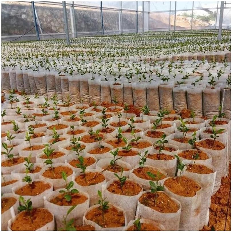 Seedling Grow Bags Non-Woven Plant Nursery Pocket Seed Starting Bag, for Flower Tree Vegetables(18x20cm (50pcs))