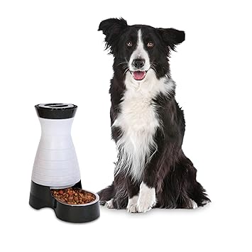 PetSafe Healthy Pet Gravity Dog and Cat Food Station, Stainless Steel Bowl, Holds 4 lbs of Dry Dog or Cat Food, Medium