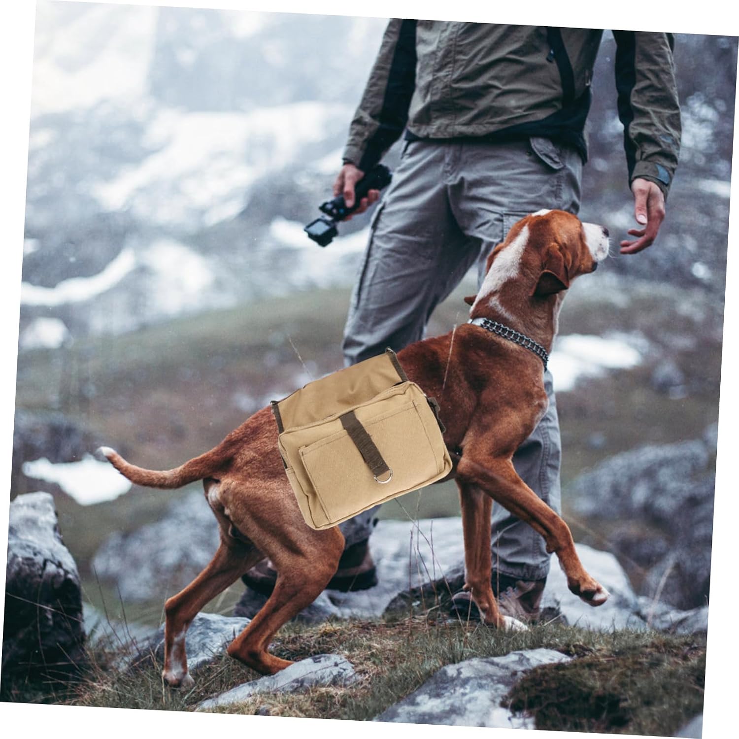 Adjustable Dog Backpack Saddle Bag for Medium Large Dogs with Quick Release Straps Dual Zipper Side Pockets for Hiking Camping Walking Travel Khaki Rucksack for Outdoor Adventures