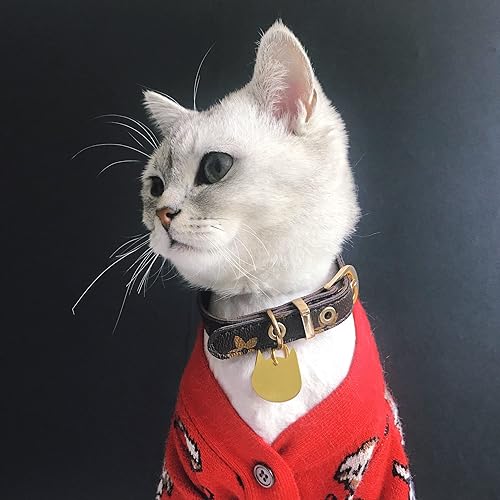 Miniatura 10 de 5 etiquetas de identificación de cabeza de gato para mascotas, nombre de gato, acero inoxidable, estampado en blanco, etiquetas de collar de