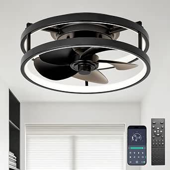 13" Small Low Profile Ceiling Fan with Light Remote Black