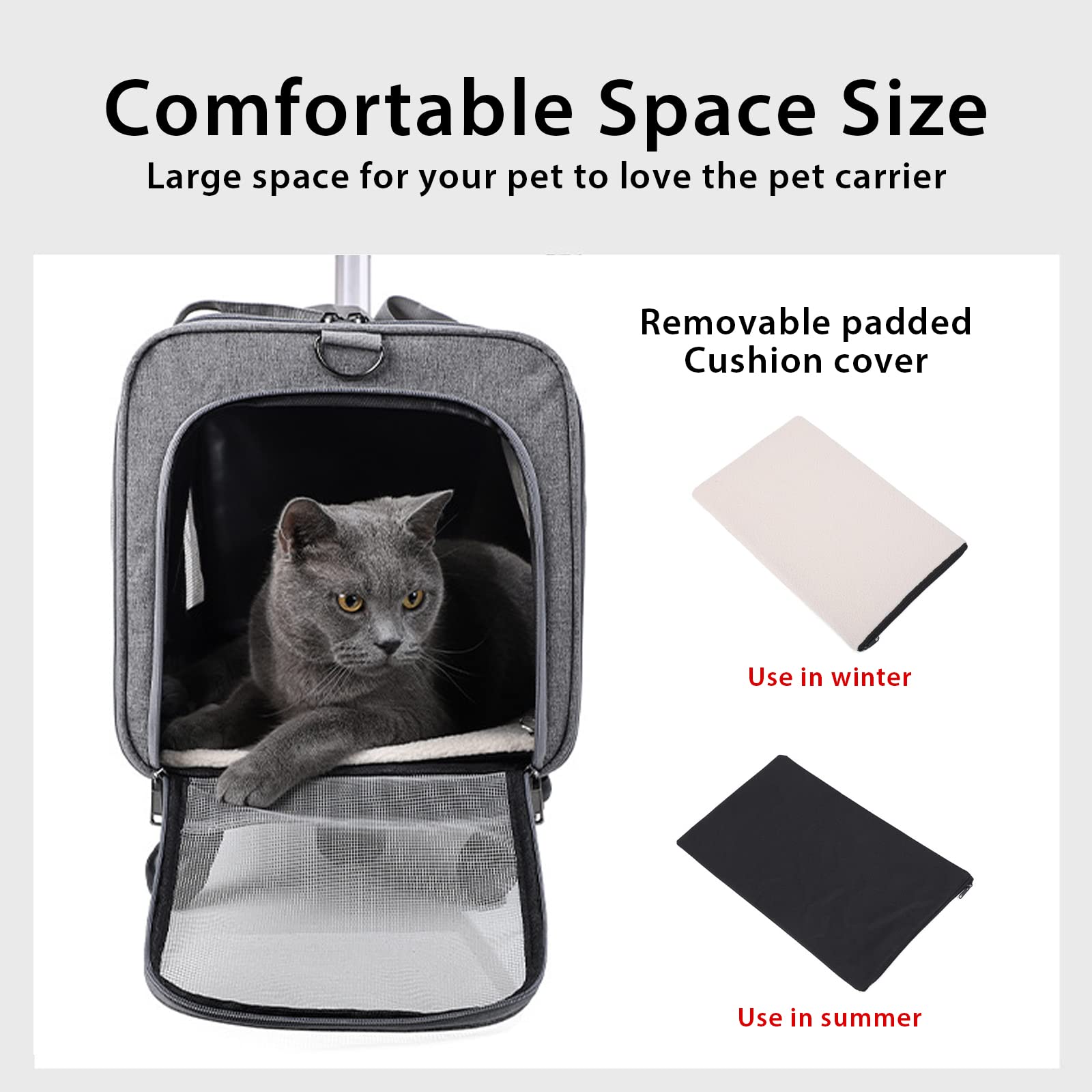 https://m.media-amazon.com/images/I/71RGBjxhOXL.jpg