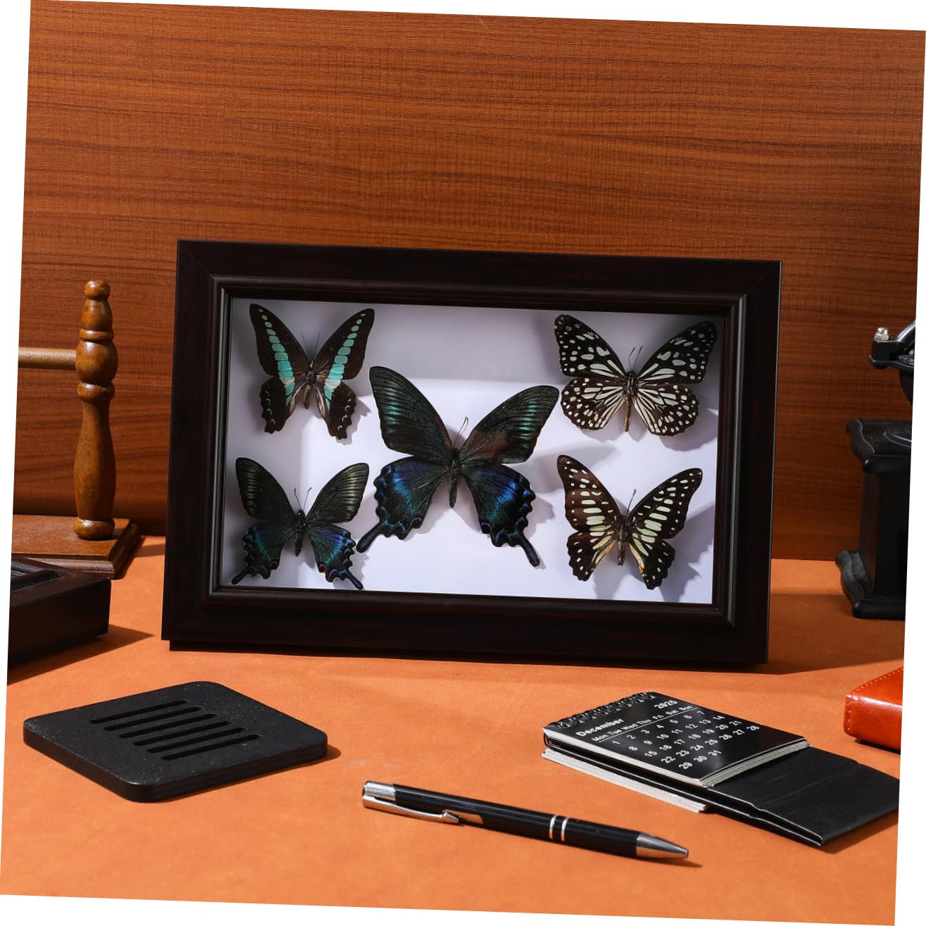 Cuadro Decorativo de Pared con Ejemplar de Lepidóptero A7 en Madera