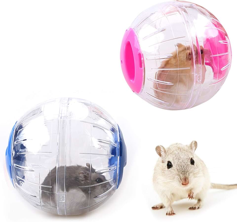 Amazon.co.uk dwarf hamster ball