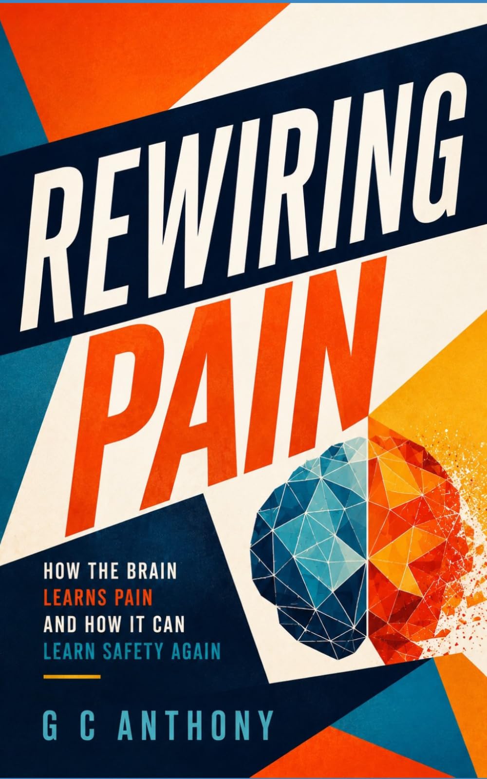 Rewiring Pain: How the Brain Learns Pain and How It Can Learn Safety Again