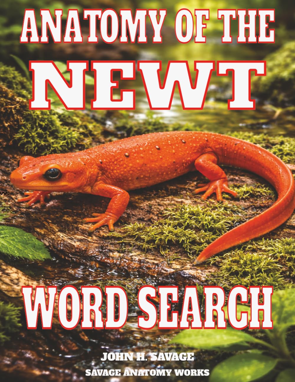 ANATOMY OF THE NEWT WORD SEARCH: HOW A SMALL AMPHIBIAN MOVES, FEEDS, SENSES, AND SURVIVES (Savage Anatomy)