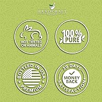 Vista 7 de Handcraft Blends Aceite Esencial de Hierba Limón – Enorme 4 Fl Oz – 100% Puro y Natural – Aceite Esencial de Grado Premium para Difusor