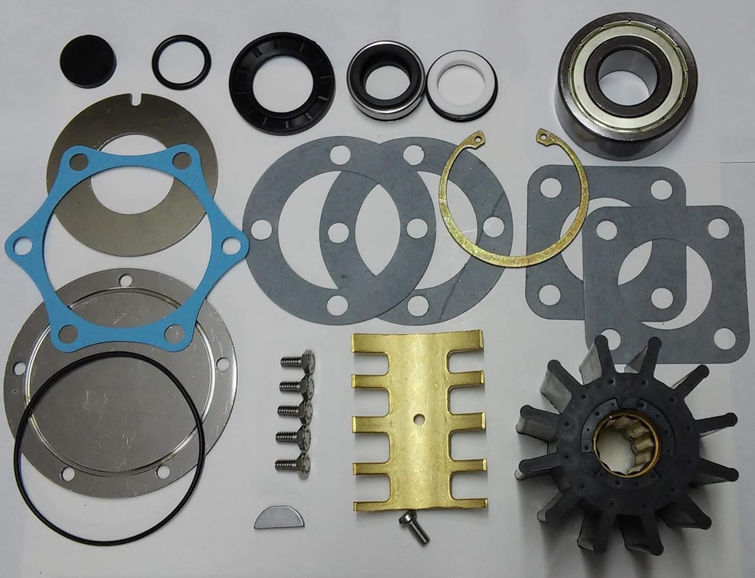 SCP Raw Sea Water Pump Rebuild Kit For Jabsco 69800011 Sports & Outdoors