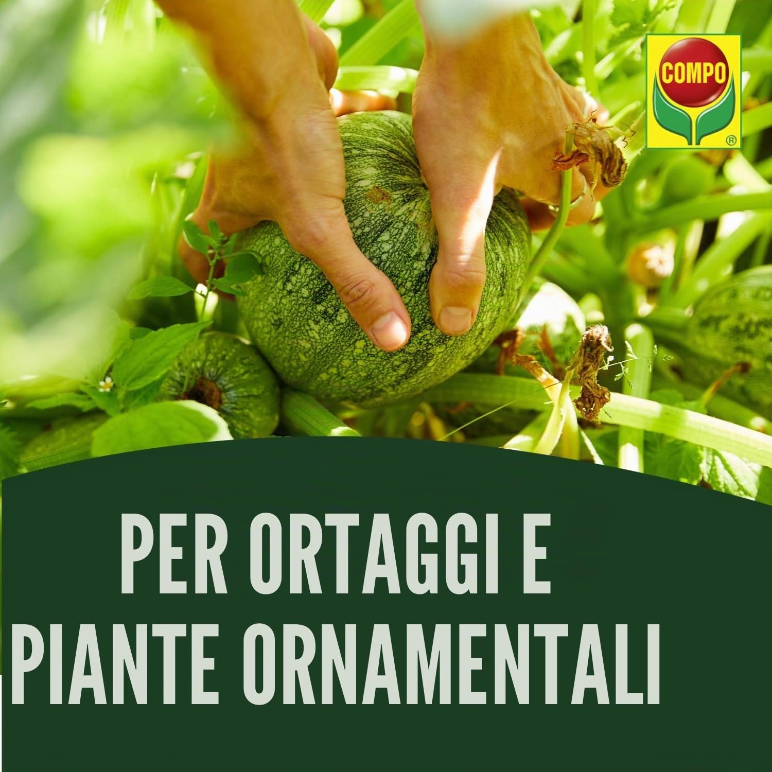 Compo Duaxo universale senza funghi 24 ml