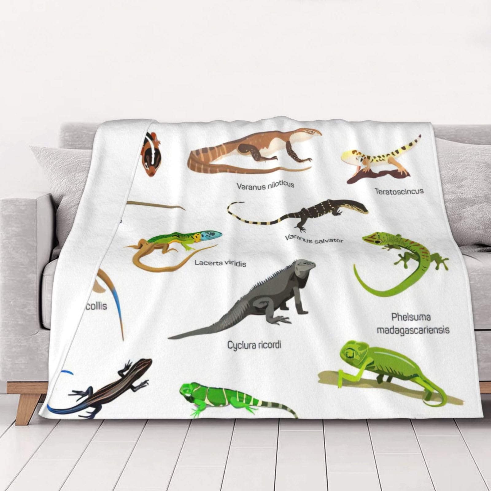Couverture en flanelle imprimé lézard plaid canapé toutes saisons