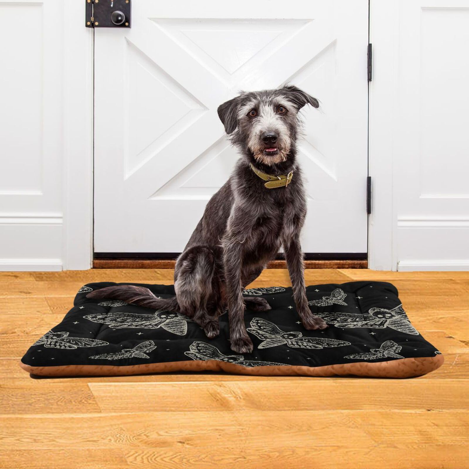 Amazon.com : Sletend Pet Bed Gothic Skull Butterfly Moth Dog Bed