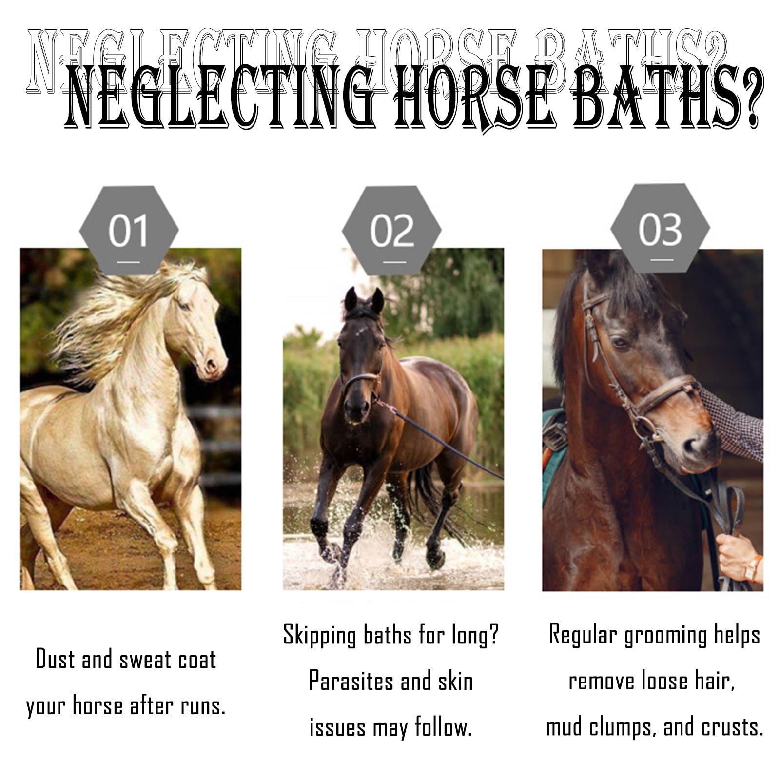 Kit de aseo para caballos: incluye púa de pezuña, peine de doble cara, cepillo, esponja y peine para caballos para una limpieza y cuidado eficaz de la adherencia equina