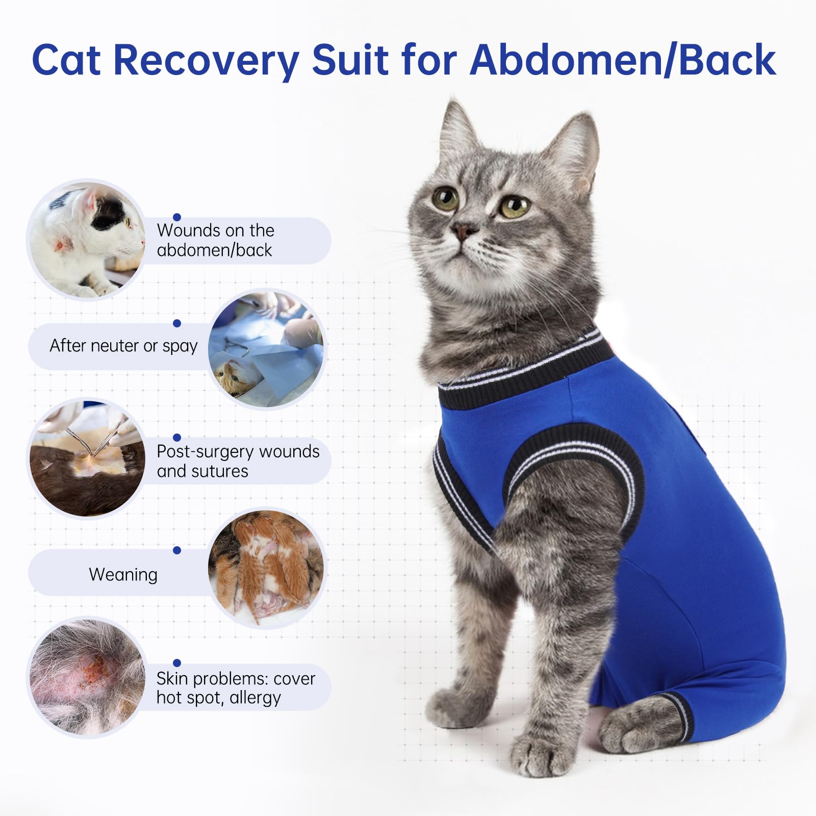 Katzenbody Nach Op Kastration Katze, Katzen Body Für Katzen