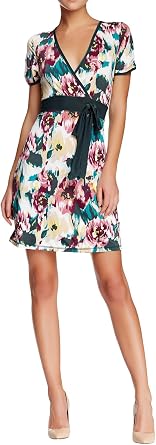 VertiGo Paris Womens Printed Short Sleeve Faux-Wrap Dress - Soft Focus - X-Large