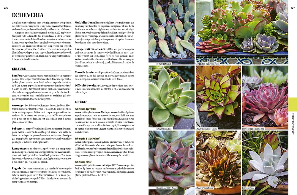 Encyclopédie des plantes d'intérieur: 500 plantes, des plus classiques aux plus insolites - Les choisir, les entretenir, les soigner - Les mutiplier et agrandir sa collection