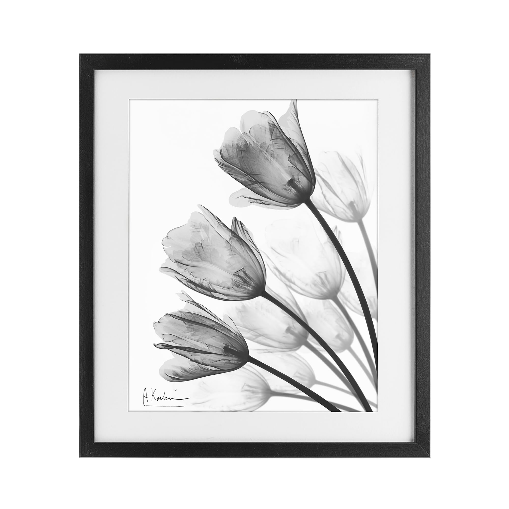 Stupell Industries Midnight Black (Textured) Minimalist Tulip Fan Botanical, 17 X 21 Inch Framed Print Under Glass