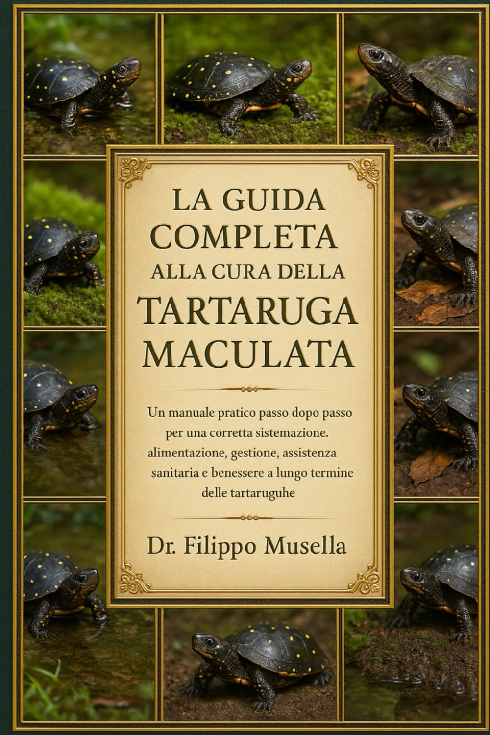 LA GUIDA COMPLETA ALLA CURA DELLA TARTARUGA MACULATA: Un manuale pratico passo dopo passo per una corretta sistemazione, alimentazione, gestione, ... e benessere a lungo termine delle tartarughe