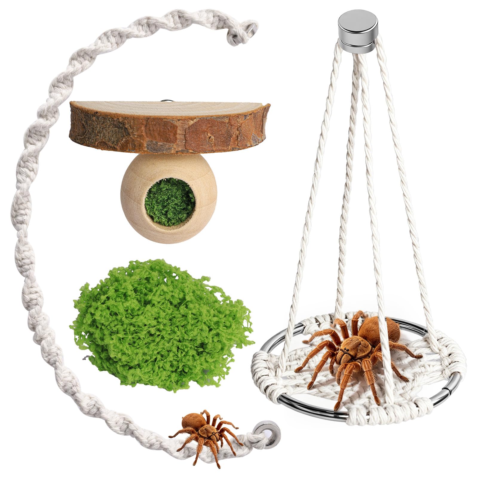 4 Pcs Jumping Spider Accessories Set, Includes Cotton Rope Swing Bridge Ring Pendant, Wooden Platform and Nest for Jumping Spiders and Pet Spider Terrarium Decor