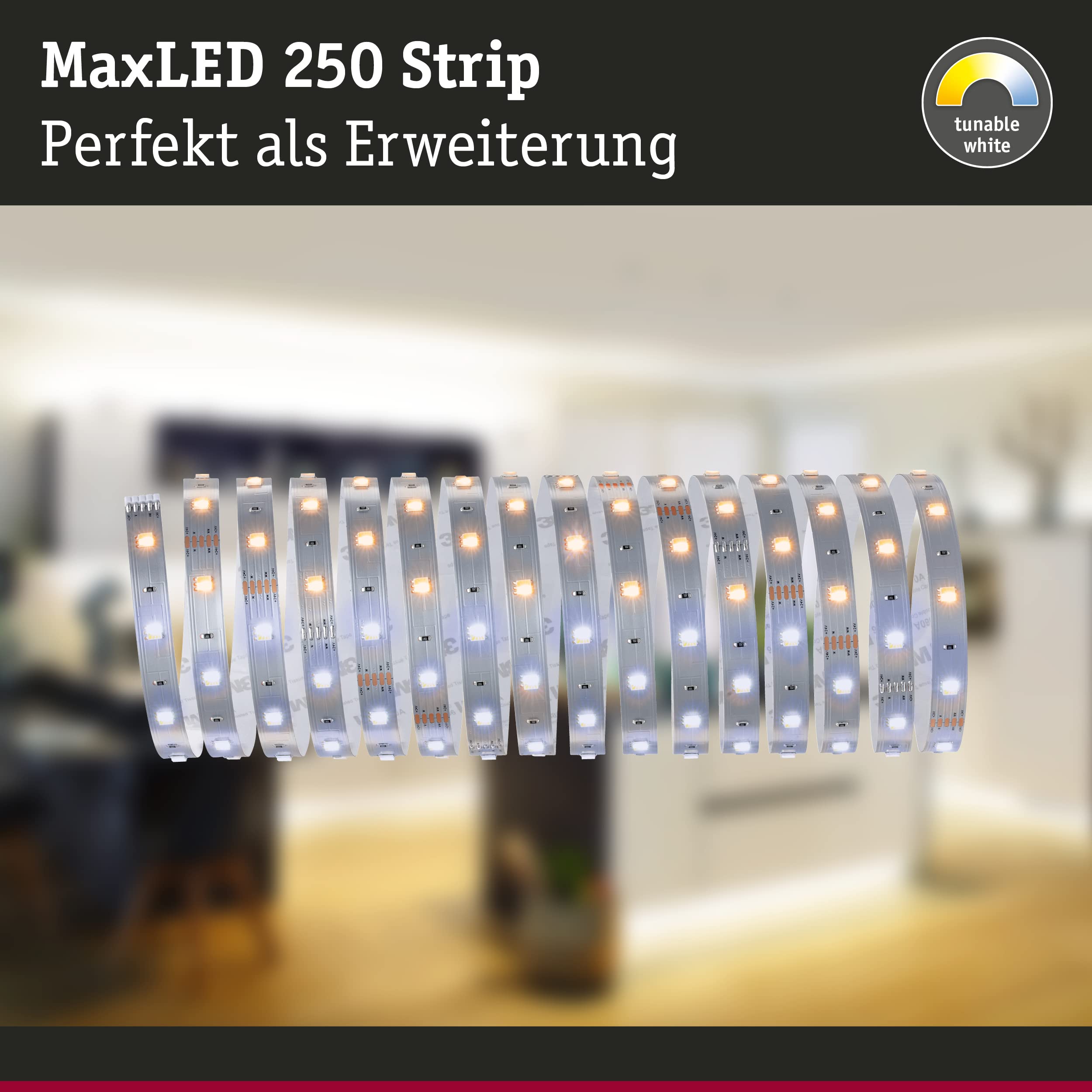 Paulmann 79863 Strip LED MaxLED 250 5m Tunable White IP20 Incl. 1