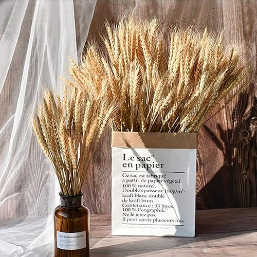 Miniatura 4 de 100 tallos de trigo secos, flores naturales de grano de oreja de trigo para mesa de comedor en casa, arreglo floral, decoración de boda