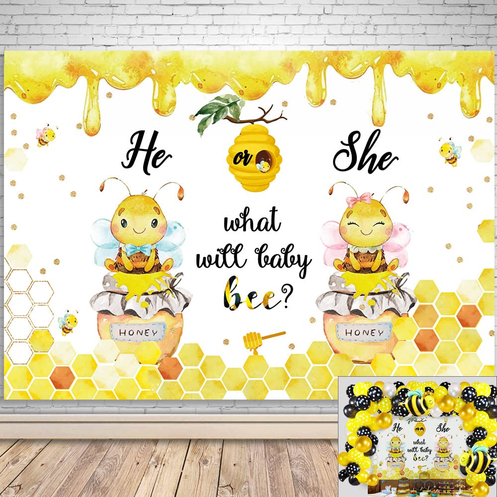 Buy Bee Theme Gender Reveal Backdrop, He or She What Will Baby Bee Boy