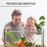 Ver la foto 4