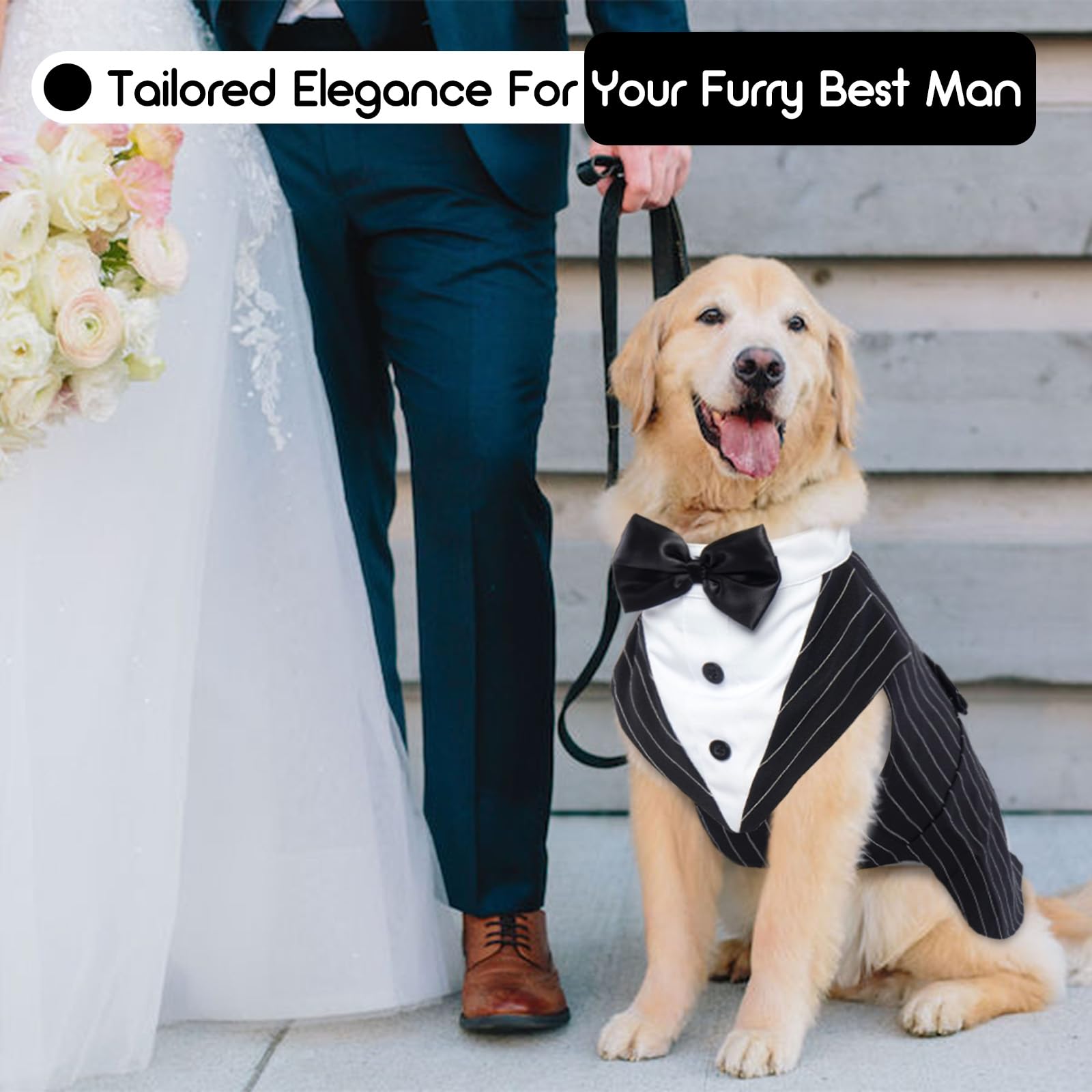Vetement Chien, Smoking, Noeud Papillon, Chemises pour Chiens, Déguisements pour Petites, Moyennes et Grandes Tailles, Costume pour Mariages et Noël - XL