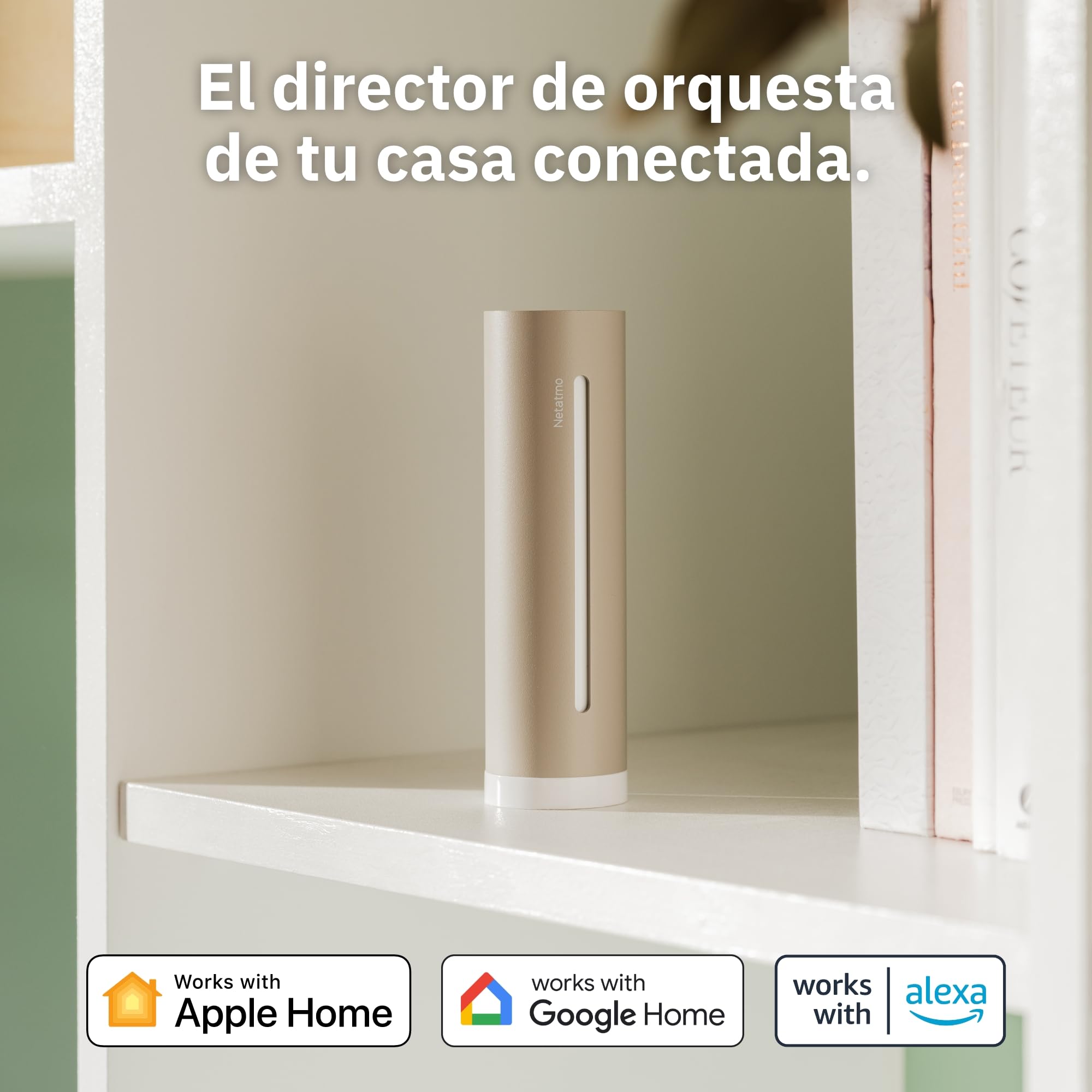 Netatmo Estación Meteorológica ORIGINAL 2ª gen | Interior y Exterior | Temperatura, Humedad, Calidad aire, UV, Pólenes, Previsiones | Compatible Apple, Alexa, Google - Arena - NWS-S-EC