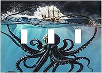 Vista 147 de Cubiertas de salida iridiscentes abstractas coloridas nubes dúplex de 1 cuadrilla, placa de cubierta de interruptor de luz arco iris, placas