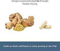 Vista 6 de Eclectic Herb - Cápsulas de jengibre Antioxidantes para apoyo cardíaco y salud digestiva Suplemento de hierbas Cultivado en Estados Unidos