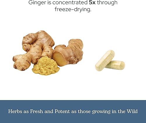 Miniatura 6 de Eclectic Institute Jengibre crudo liofilizado sin OMG Antioxidantes para apoyo cardíaco y salud digestiva 90 CT