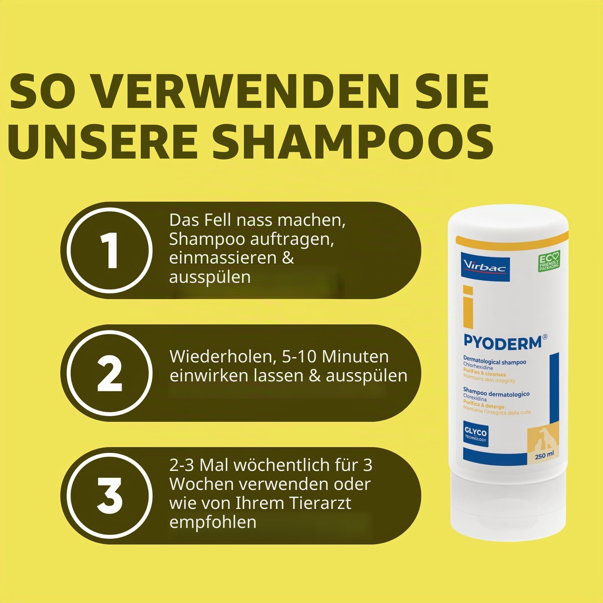 SHAMPOING PYODERM GLYCOTEC Chien & Chat 250 ml