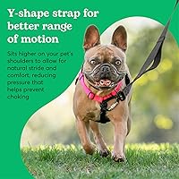 Vista 5 de Better Walk - Arnés para perro sin tirones, rosa intenso, talla S, mantiene el control con arnés para perro ajustable, cómodo, fácil de usar y Rosa