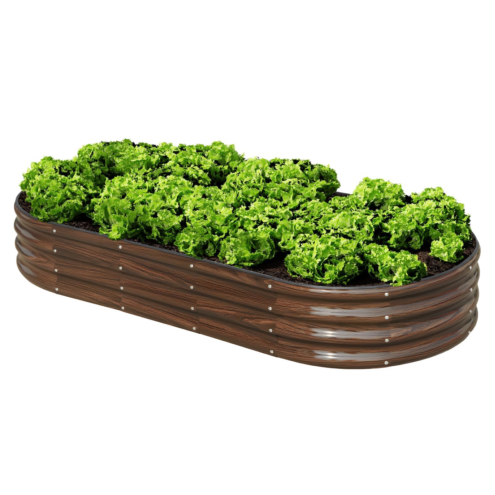 Jardinière surélevée en métal ovale 1,8x0,9x0,3m SnugNiture pour légumes de jardin