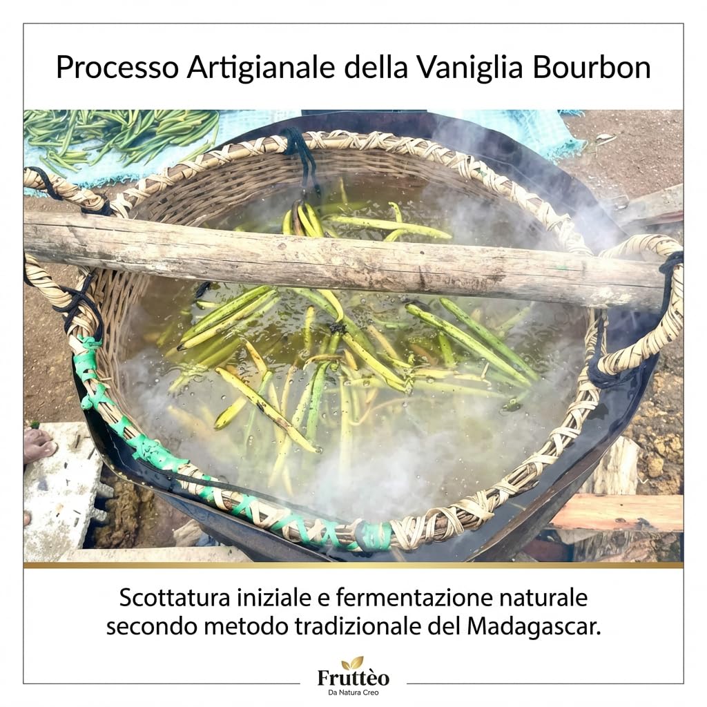 Frutteo - 20 Baccelli di Vaniglia Bourbon XL del Madagascar 16/cm, Qualità Gourmet, Carnosi e Profumati + 1 Baccelli Omaggio, Ideali per Dolci, Gelati, Creme e Ricette Raffinate