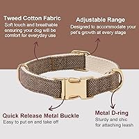 Vista 145 de Collar de Algodón Suave para Perro con Hebilla de Metal Ajustable de Servicio Pesado Cómodo Collares de Pana para Perros Pequeños, Medianos