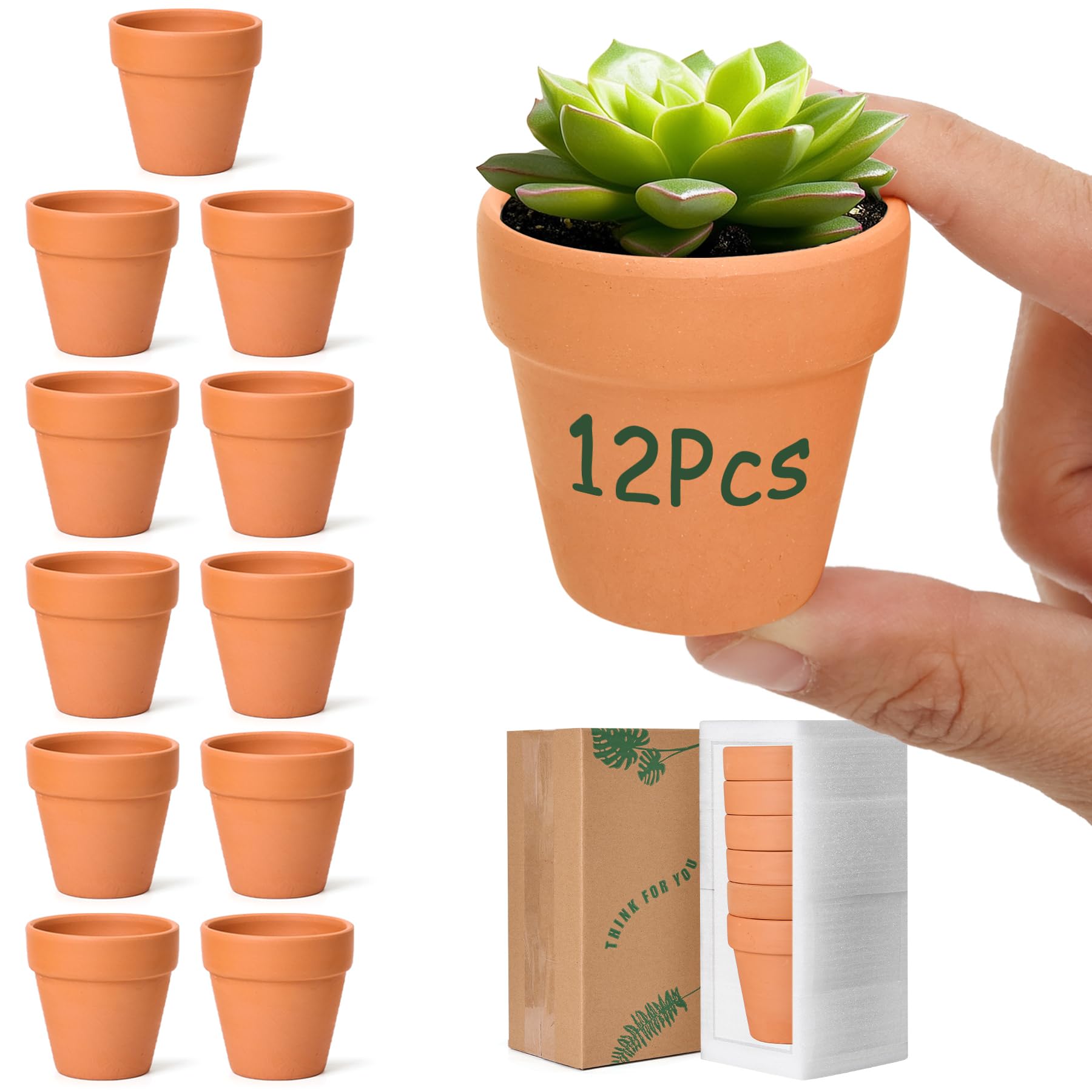 Sponsored Ad – T4U 6.5CM Terracotta Plant Pots 12 Pcs, Mini Terracotta Pots with Drainage Holes, Small Clay Pots for Crafts, Small Plant Pots for Succulent Cactus Plants, DIY Mini Flower Pot, Gifts for Party Decor