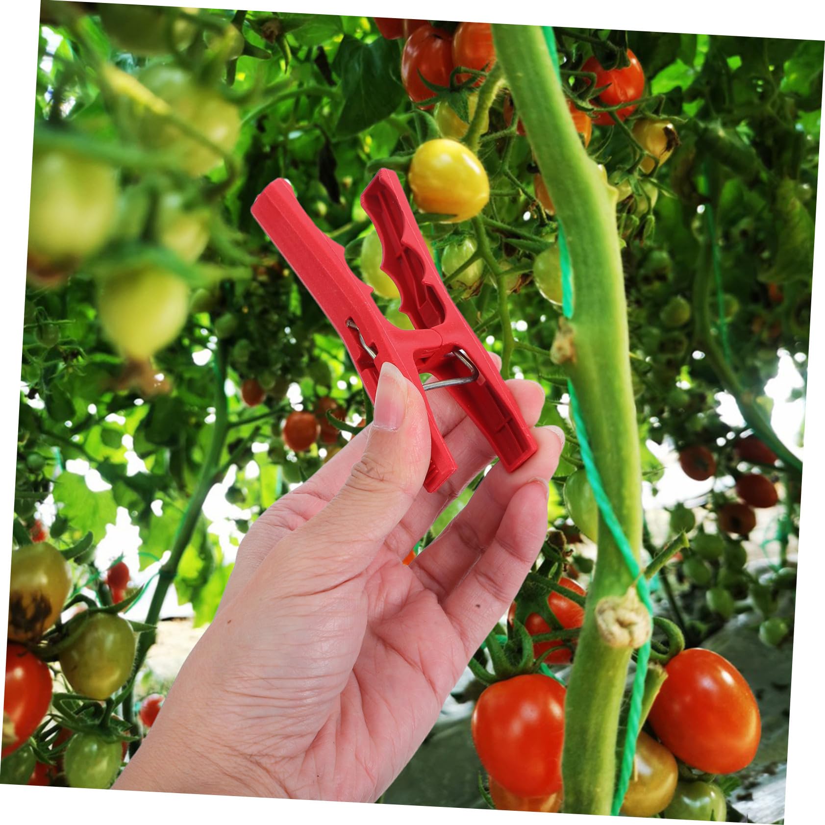 ifundom Clips de Fixation pour Plantes Grimpantes 100 Pcs Plastique Rouge