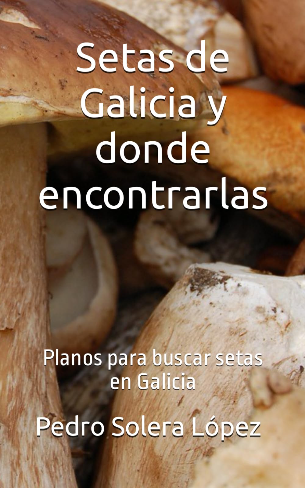 Setas de Galicia y donde encontrarlas: Planos para buscar setas en Galicia