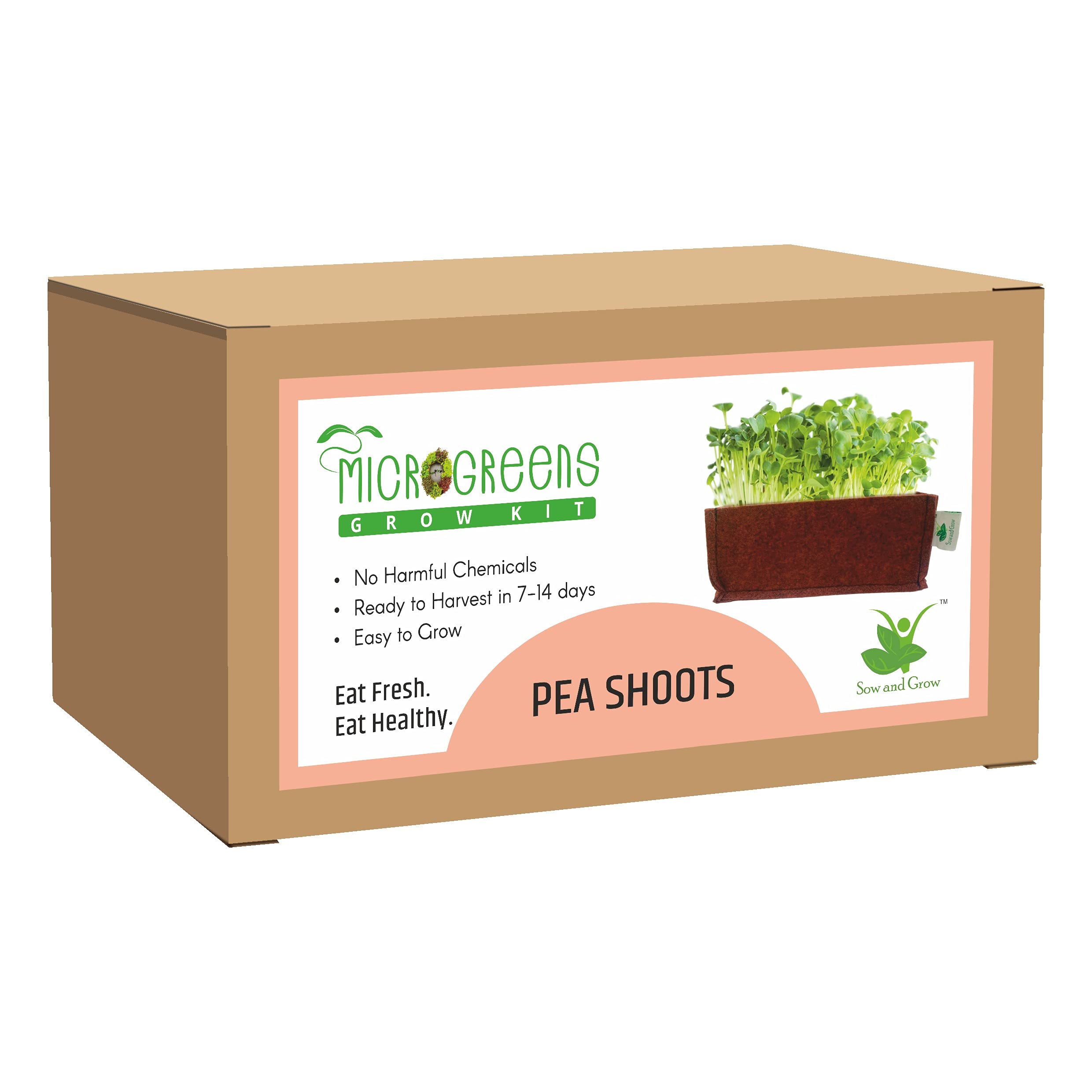 Sow and GrowMicrogreens Grow Kit: Pea Shoots 50 Grams || Easy to Use Kit for Beginner Gardeners || Gardening Set to Grow at Home