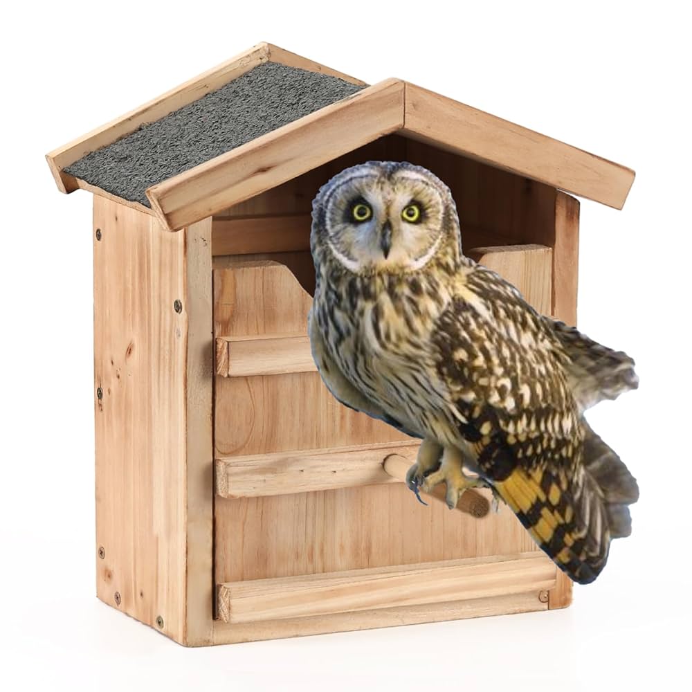 owl Amazon.com: Owl House Prebuilt Box for Outside Screech Owls